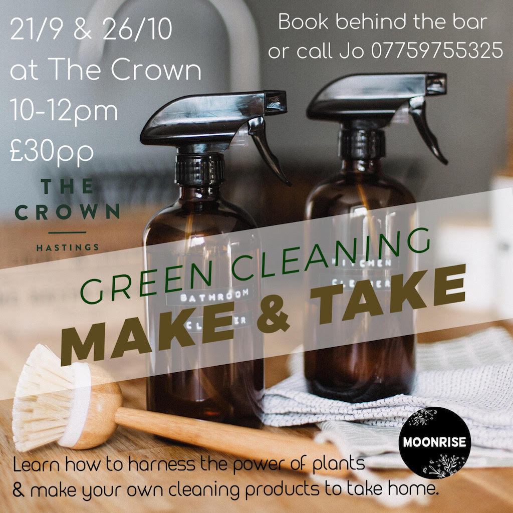 Poster for Green Cleaning: Make & Take
