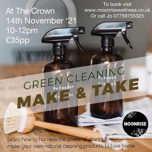 Poster for Green Cleaning: Make & Take